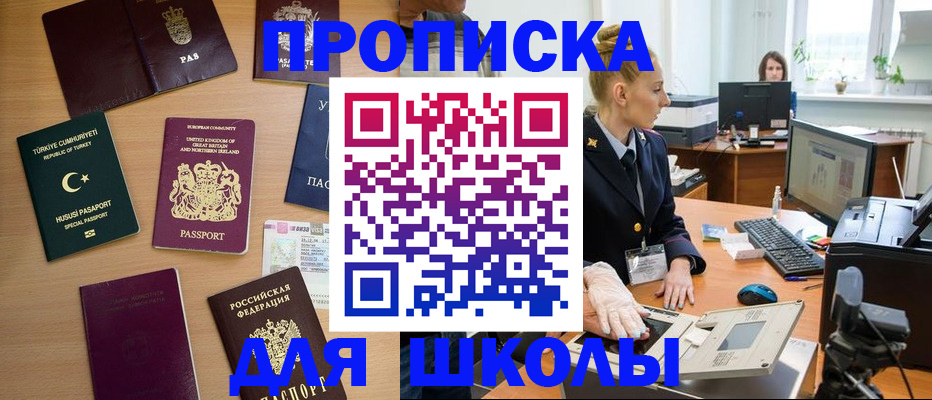 где прописаться в Щёкино